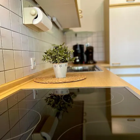 Haus Sonnenwinkel 2-raum-wohnung Amelie Апартаменты *